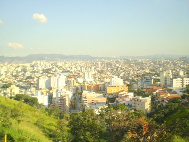Palmares em Belo Horizonte, MG