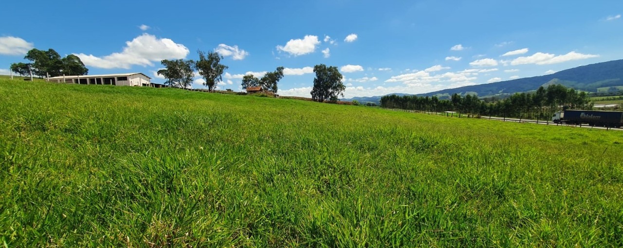 Chácara à venda com 4 quartos, 920000m² - Foto 2