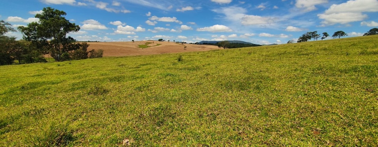 Chácara à venda com 4 quartos, 920000m² - Foto 4