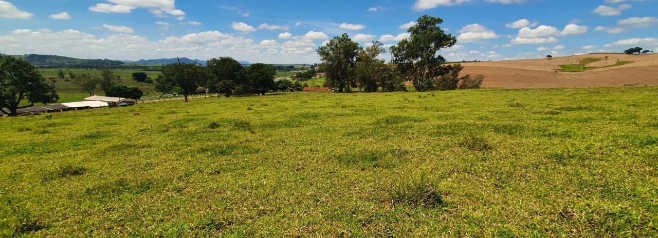 Chácara à venda com 4 quartos, 920000m² - Foto 5