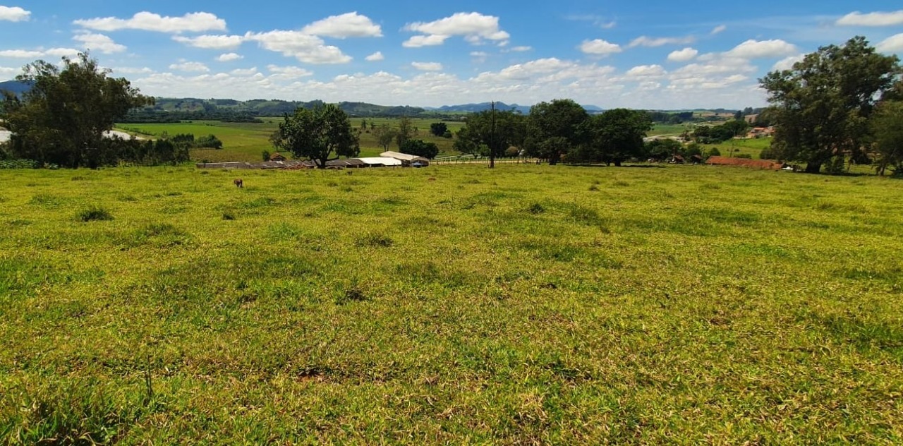 Chácara à venda com 4 quartos, 920000m² - Foto 6