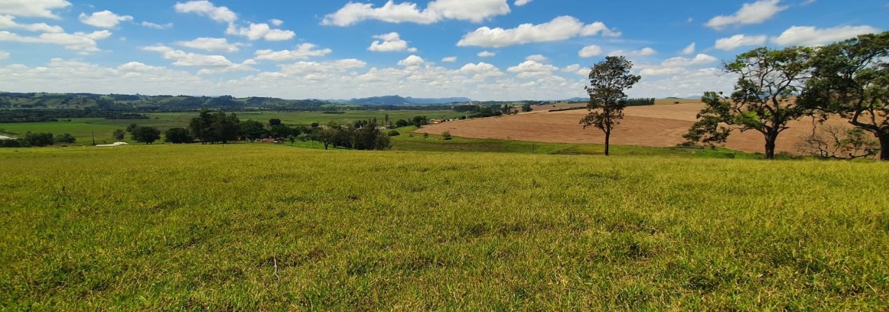 Chácara à venda com 4 quartos, 920000m² - Foto 9