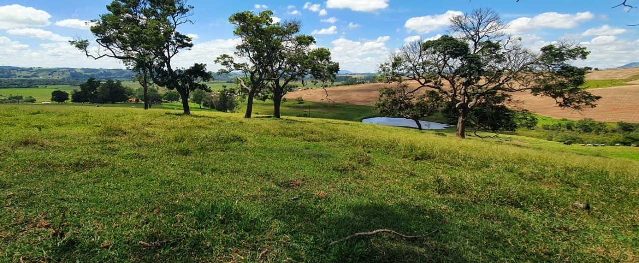 Chácara à venda com 4 quartos, 920000m² - Foto 8