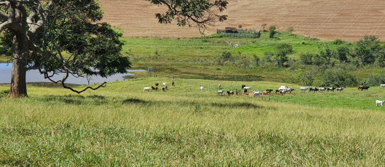 Chácara à venda com 4 quartos, 920000m² - Foto 1