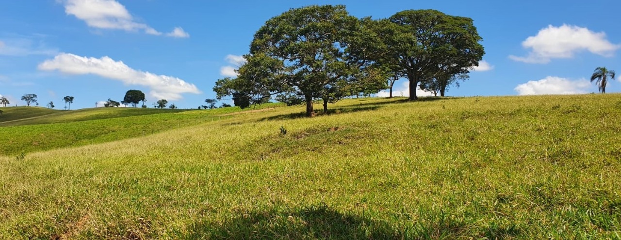 Chácara à venda com 4 quartos, 920000m² - Foto 10