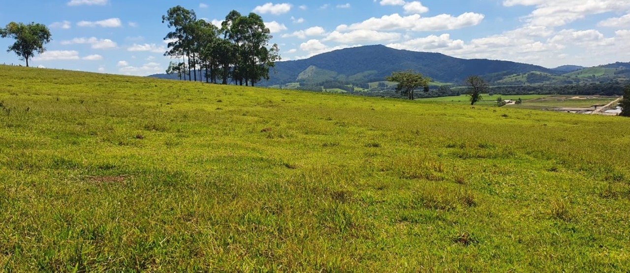 Chácara à venda com 4 quartos, 920000m² - Foto 12