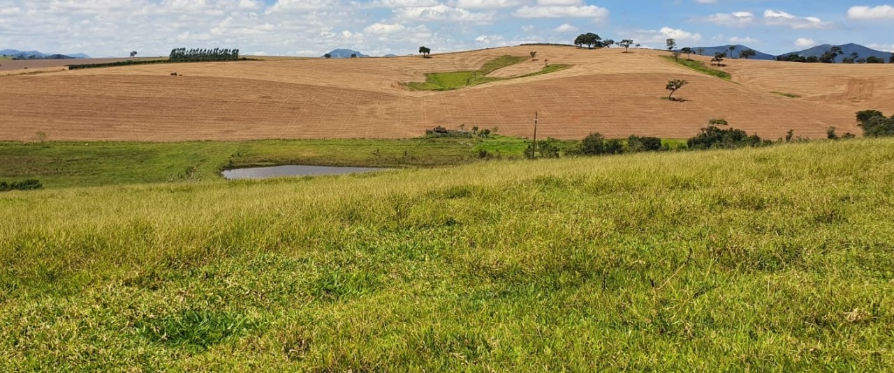 Chácara à venda com 4 quartos, 920000m² - Foto 13