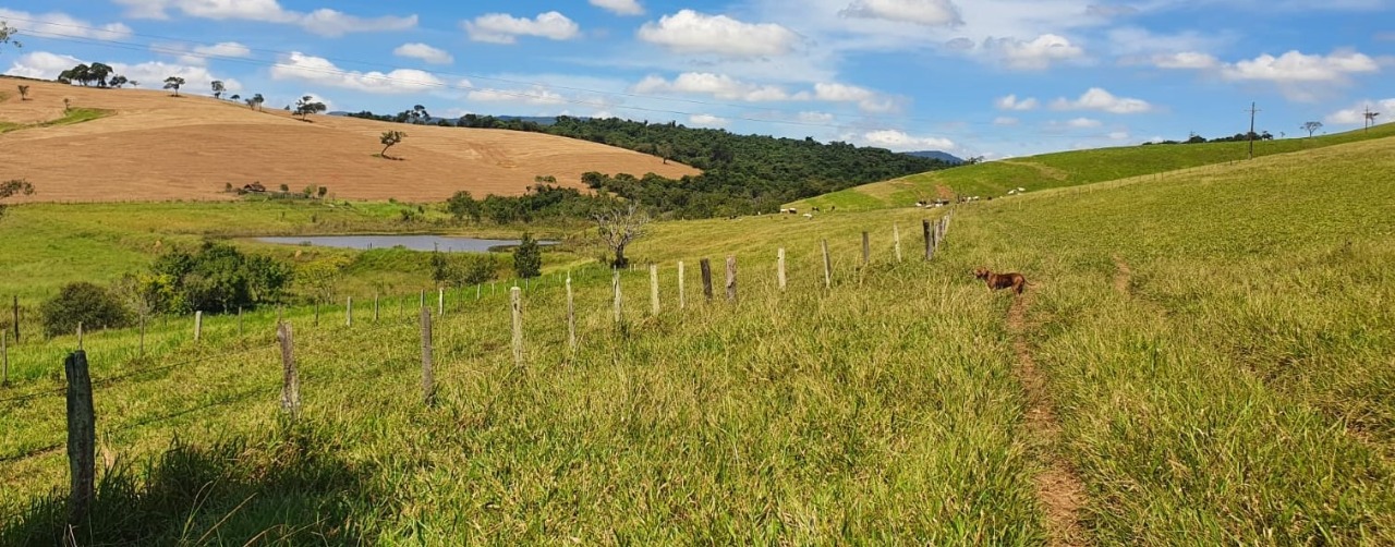 Chácara à venda com 4 quartos, 920000m² - Foto 14