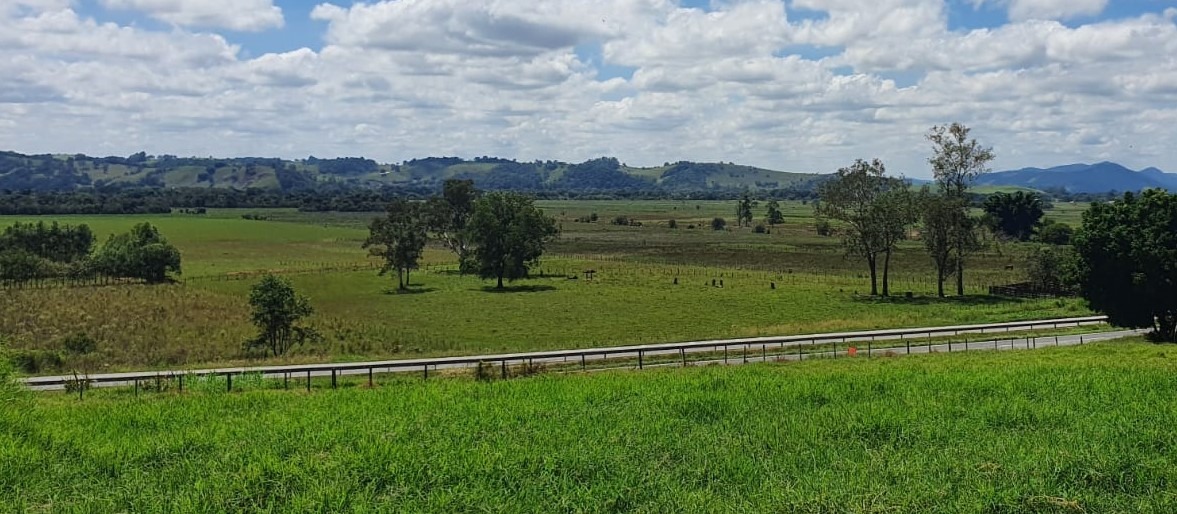 Chácara à venda com 4 quartos, 920000m² - Foto 15