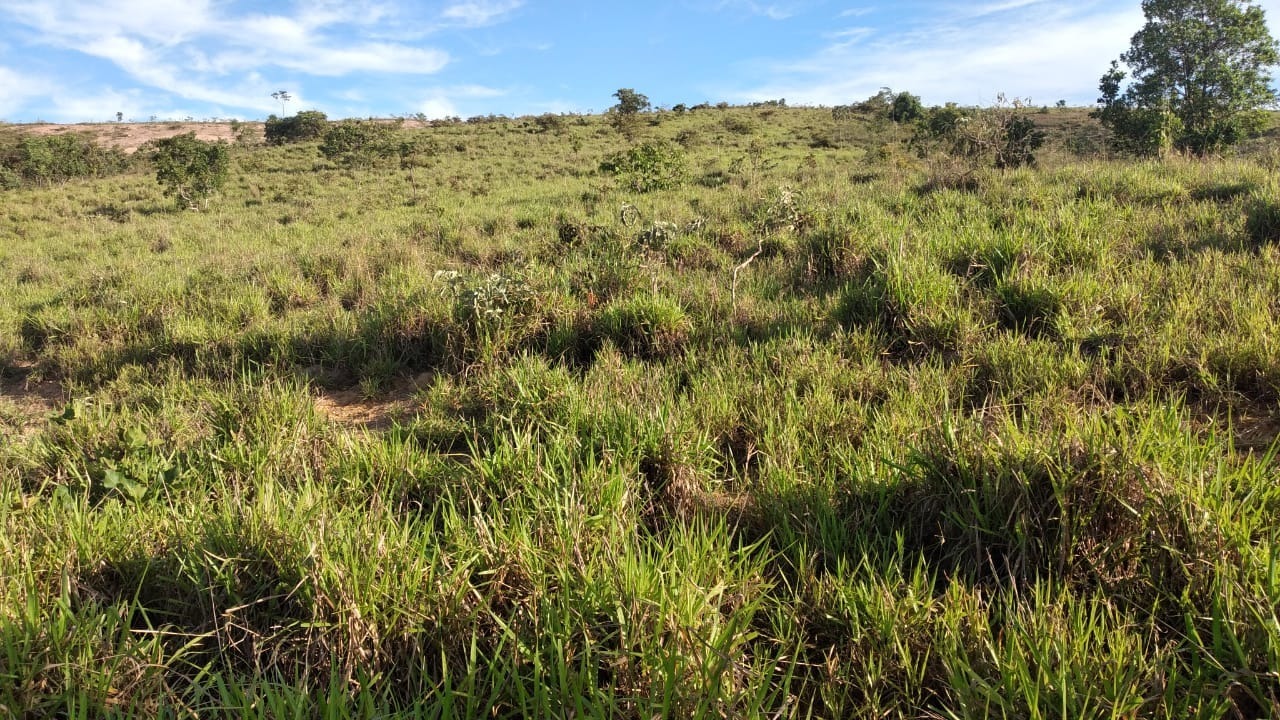 Chácara à venda com 5 quartos, 670000m² - Foto 4