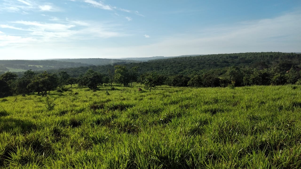 Chácara à venda com 5 quartos, 670000m² - Foto 6