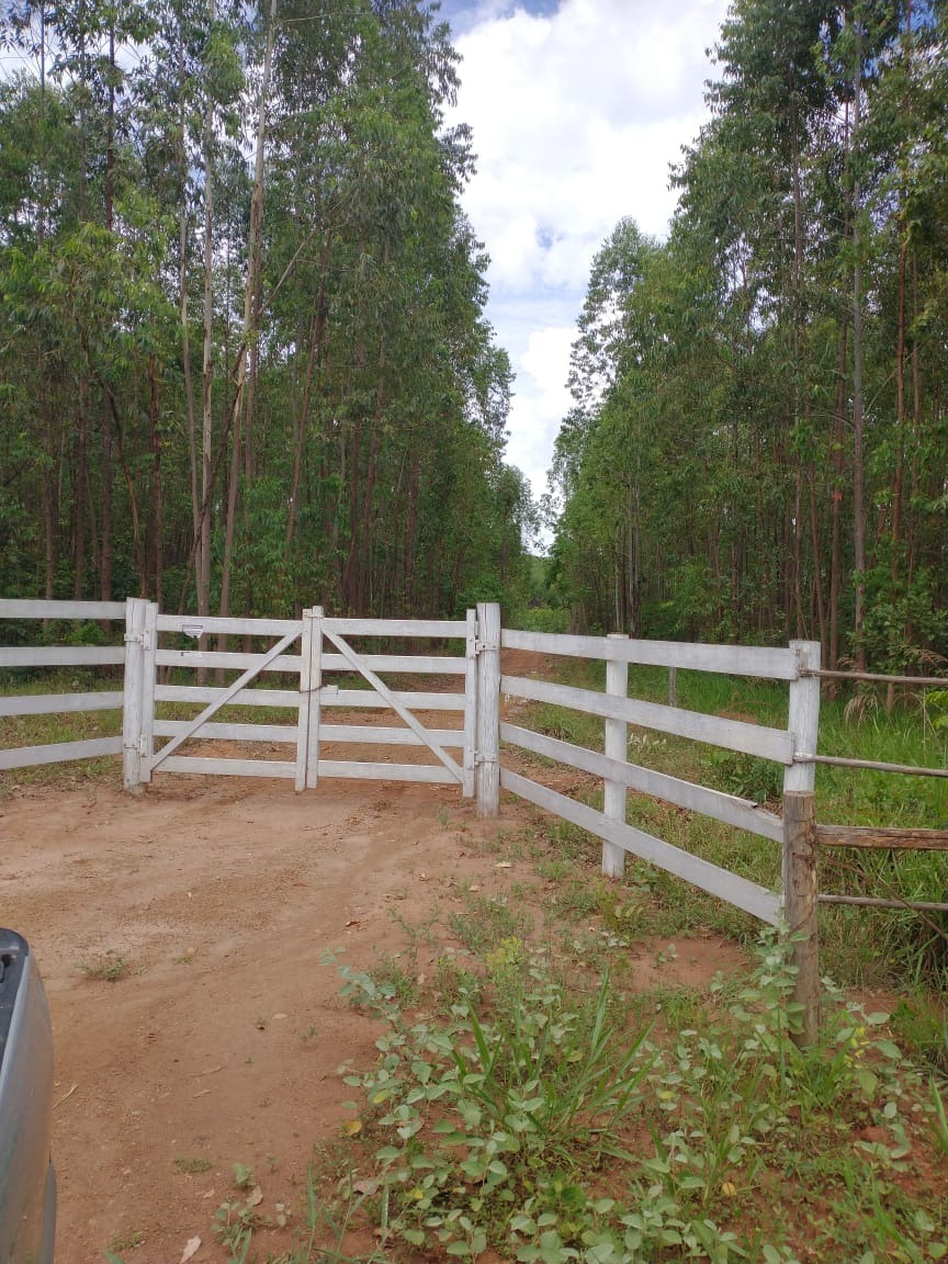 Chácara à venda com 5 quartos, 670000m² - Foto 2