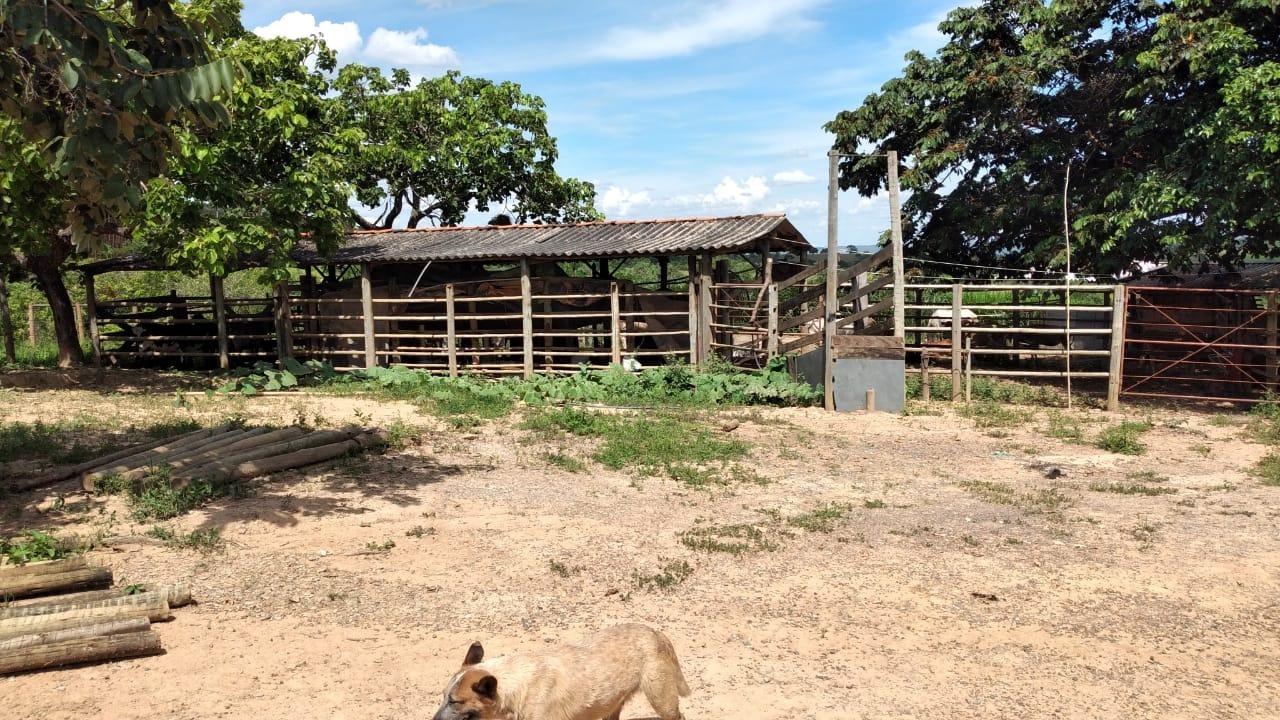 Chácara à venda com 5 quartos, 670000m² - Foto 10