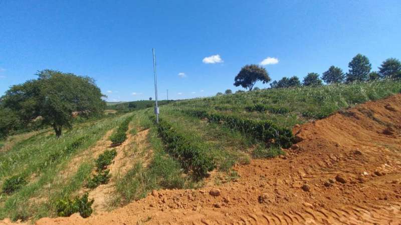 Chácara à venda com 1 quarto, 20000m² - Foto 1