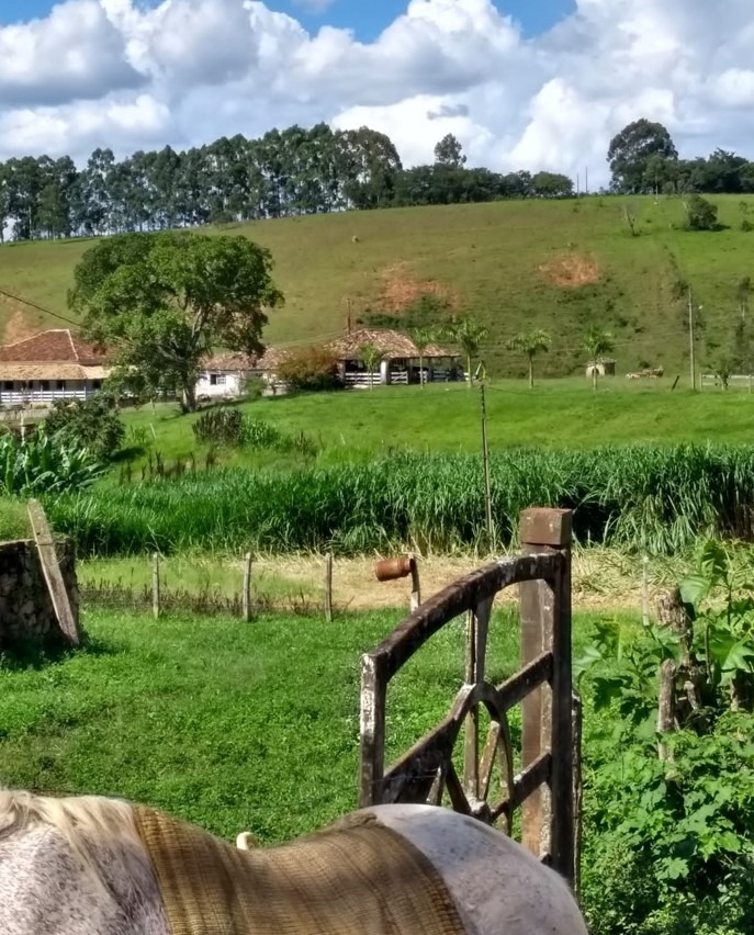 Chácara à venda com 2 quartos, 2350000m² - Foto 3