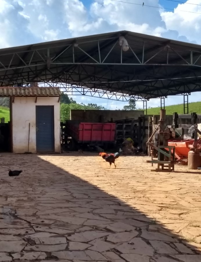 Chácara à venda com 2 quartos, 2350000m² - Foto 5