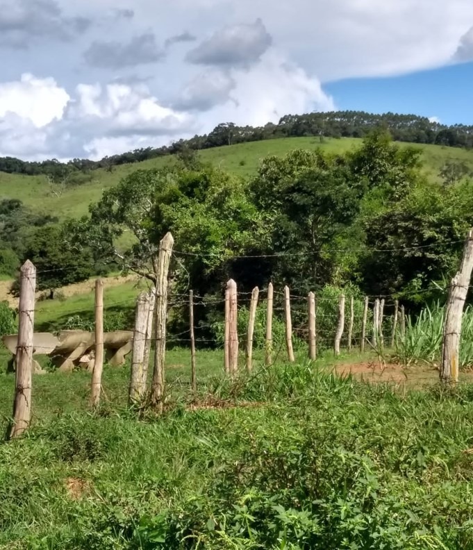 Chácara à venda com 2 quartos, 2350000m² - Foto 7