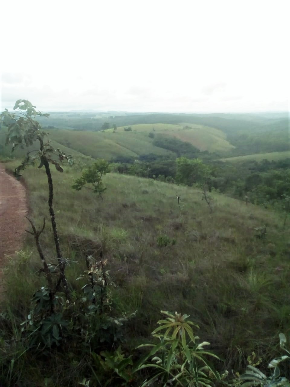 Chácara à venda com 2 quartos, 3690000m² - Foto 19