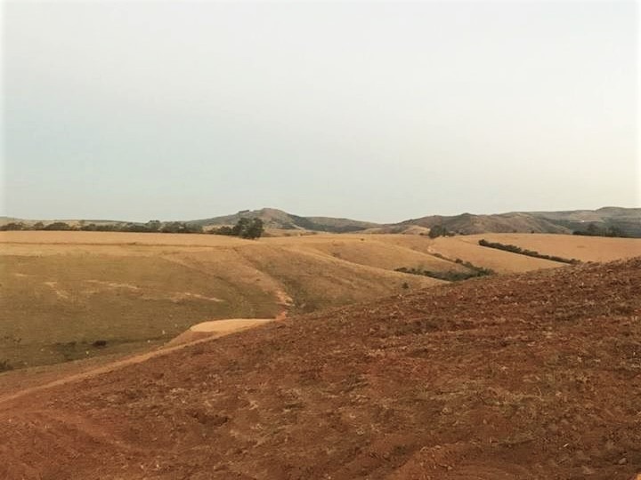 Chácara, 1 quarto, 726 hectares - Foto 3