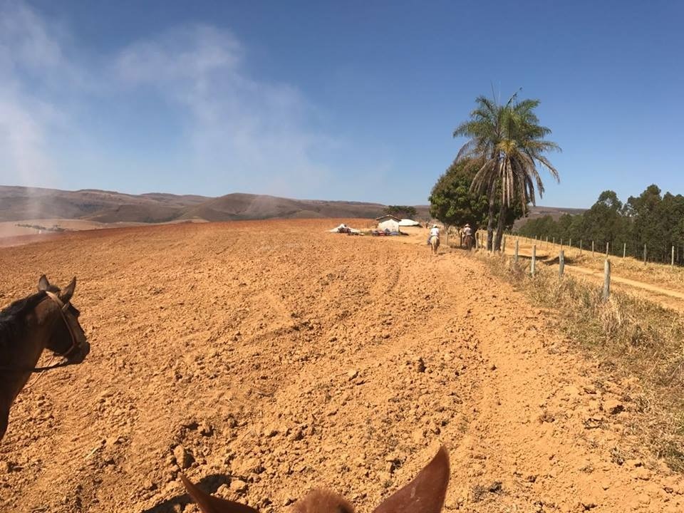 Chácara, 1 quarto, 726 hectares - Foto 4