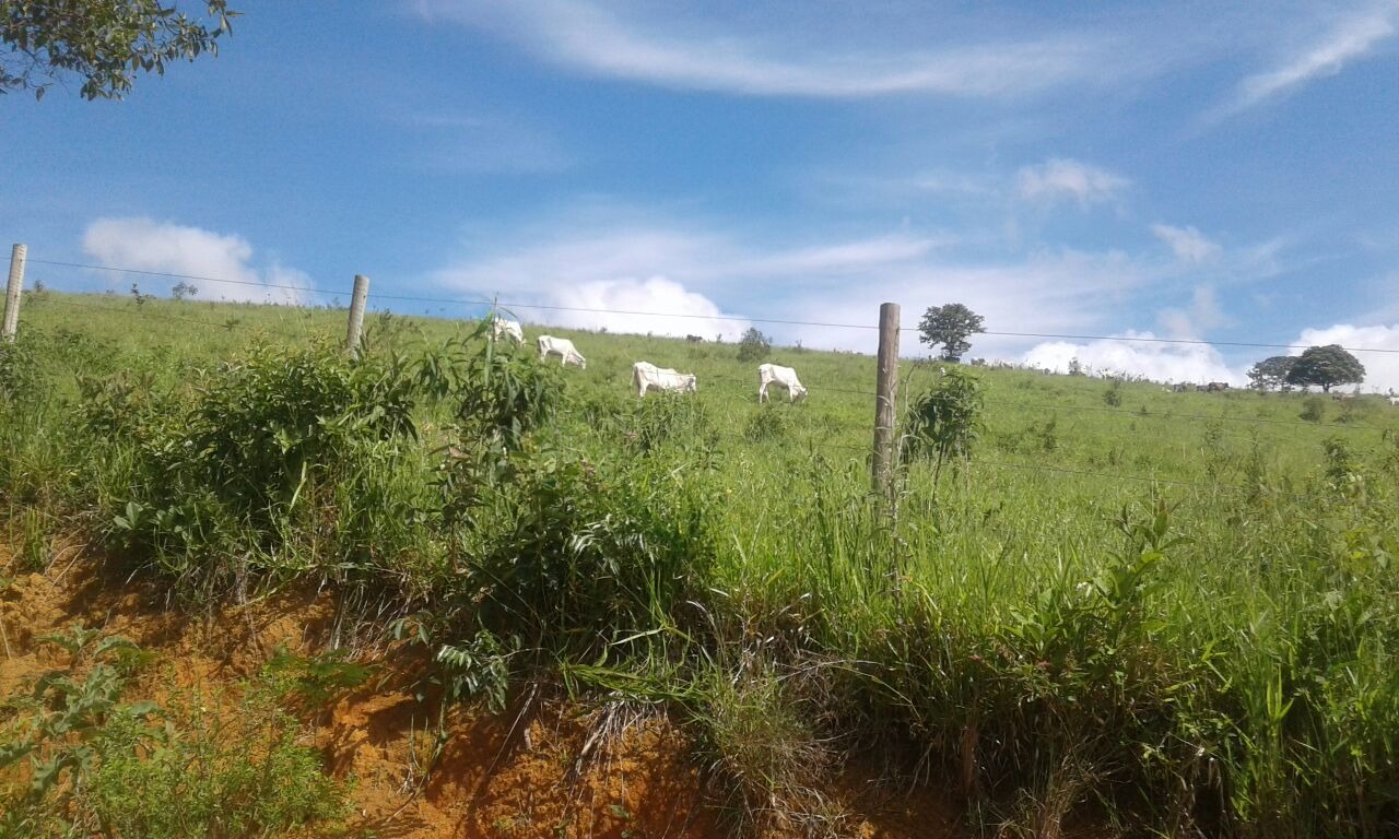 Chácara à venda com 1 quarto, 7260000m² - Foto 8