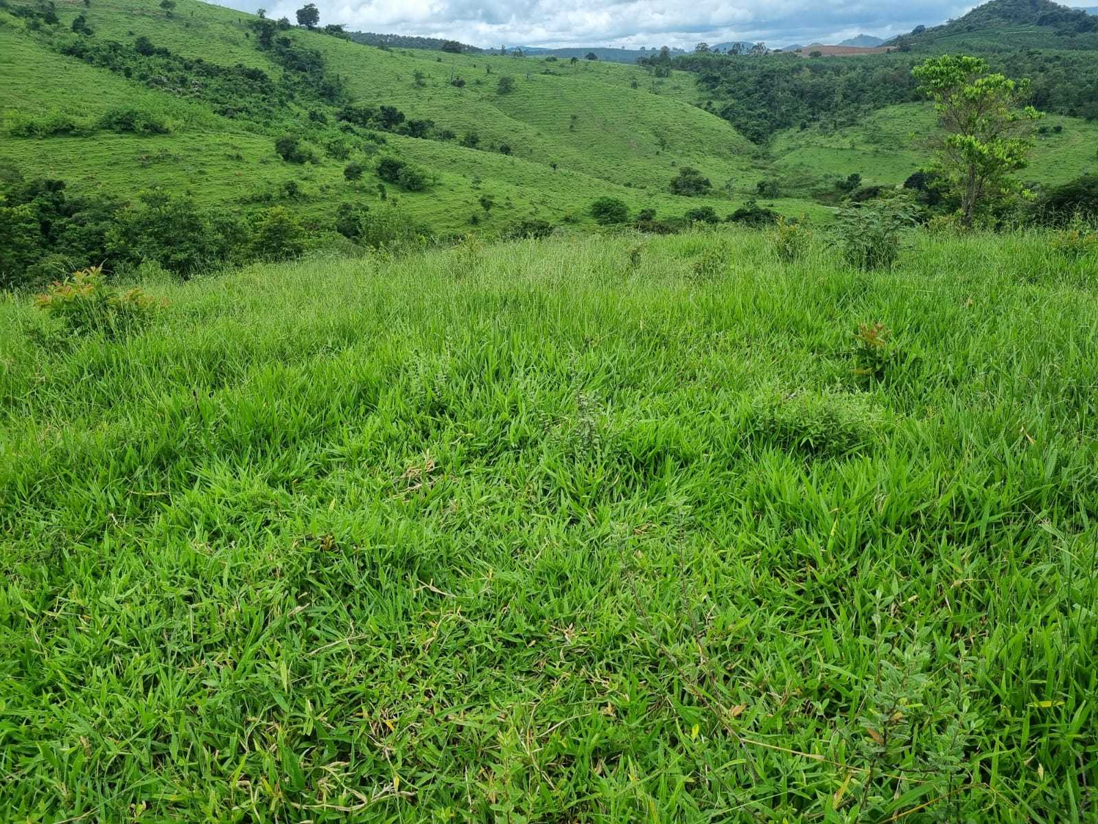 Chácara à venda com 2 quartos, 4170000m² - Foto 6