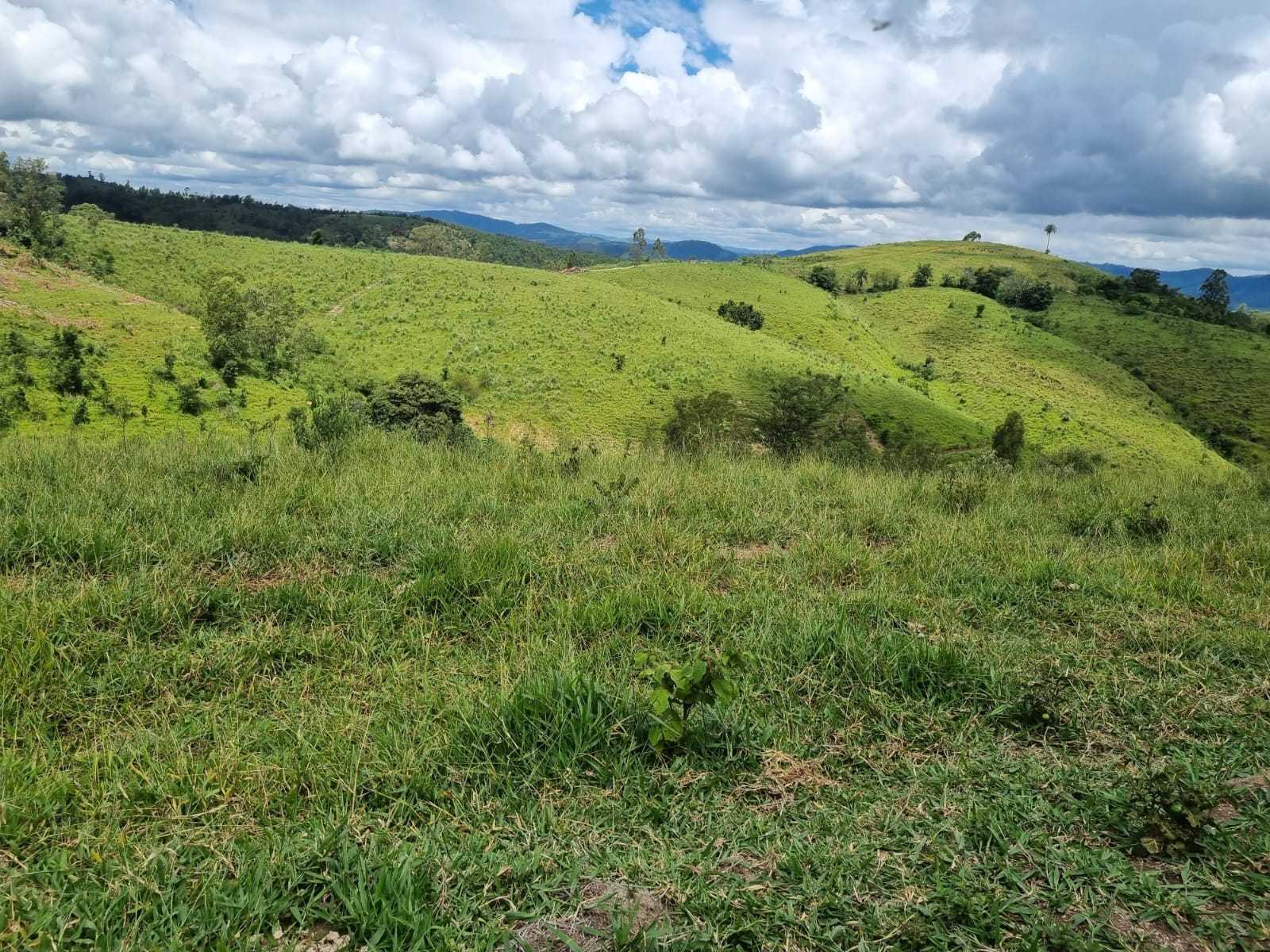 Chácara à venda com 2 quartos, 4170000m² - Foto 5