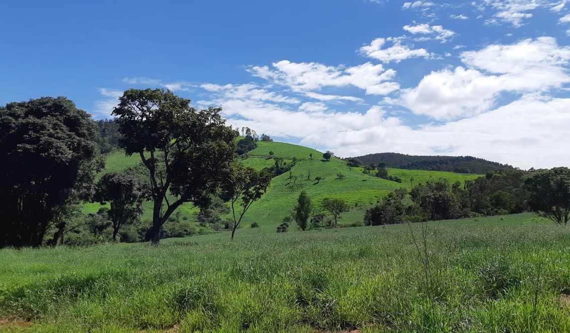 Chácara à venda com 2 quartos, 4170000m² - Foto 17