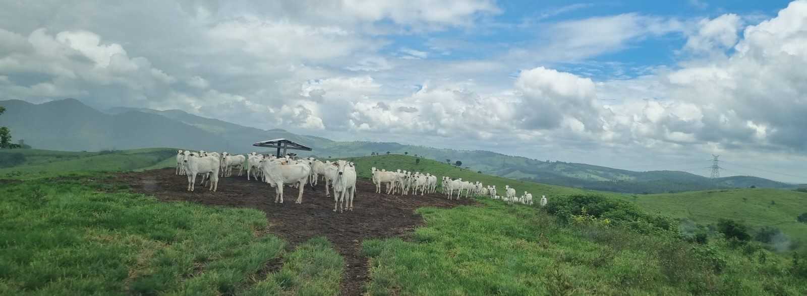 Chácara à venda com 2 quartos, 4170000m² - Foto 20