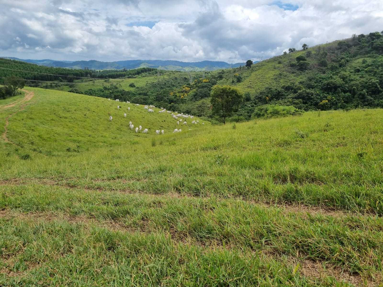 Chácara à venda com 2 quartos, 4170000m² - Foto 25