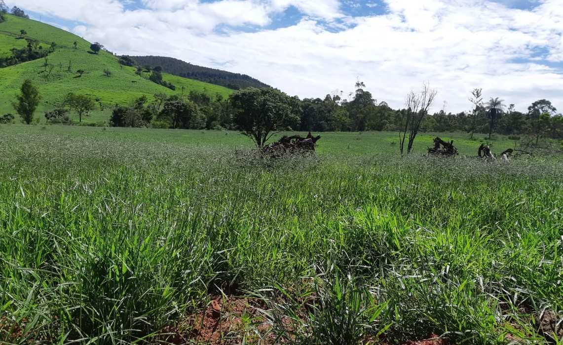 Chácara à venda com 2 quartos, 4170000m² - Foto 14