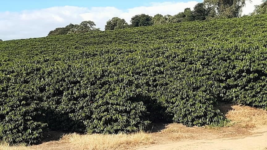 Chácara à venda com 4 quartos, 526300m² - Foto 6