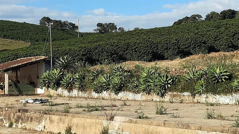 Chácara à venda com 4 quartos, 526300m² - Foto 12