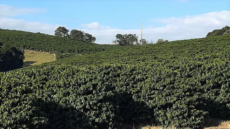 Chácara à venda com 4 quartos, 526300m² - Foto 7