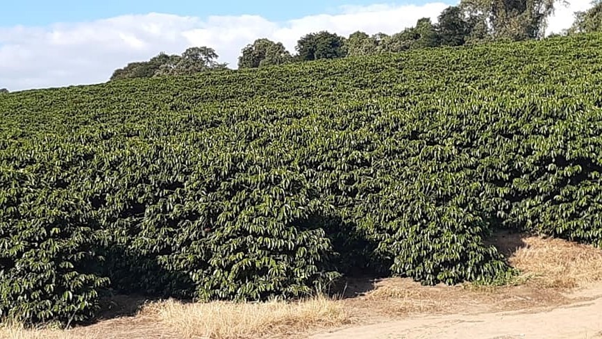 Chácara à venda com 4 quartos, 526300m² - Foto 11