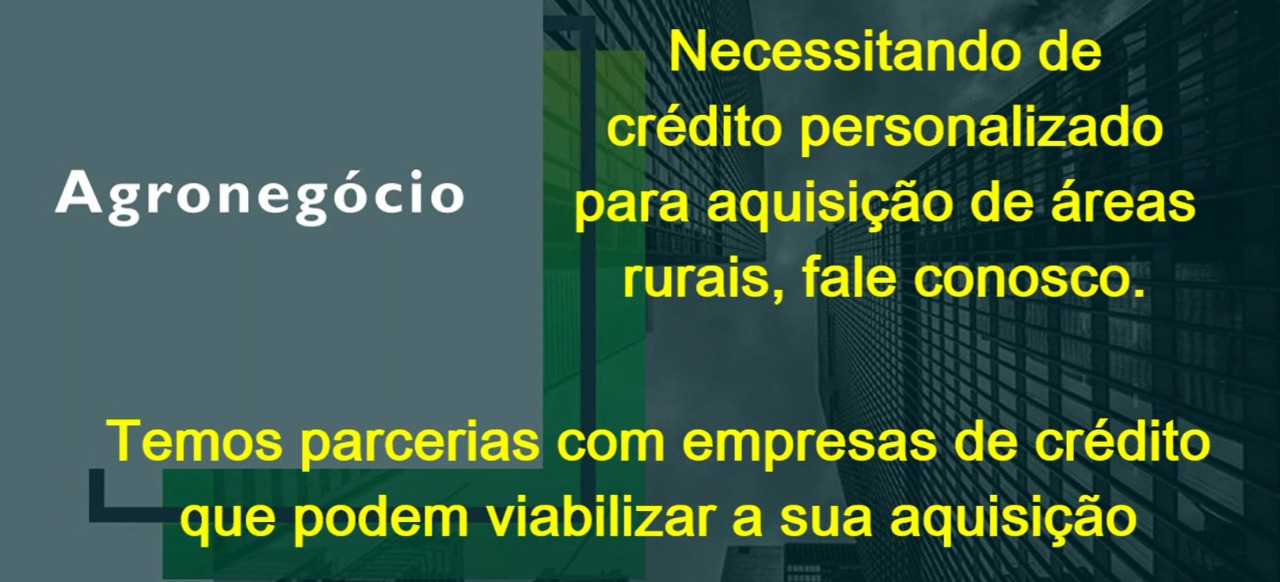 Chácara à venda com 4 quartos, 526300m² - Foto 23