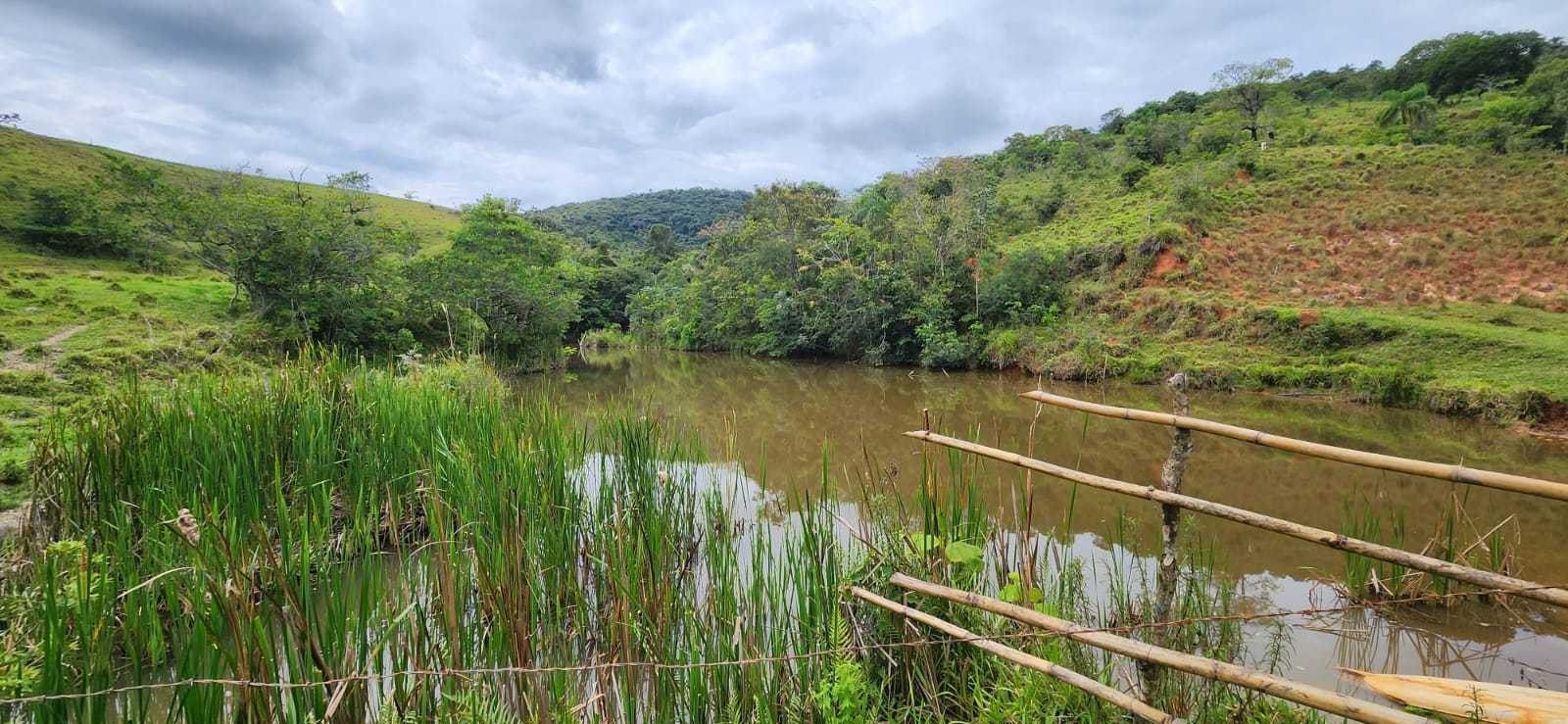 Chácara à venda com 3 quartos, 820000m² - Foto 13