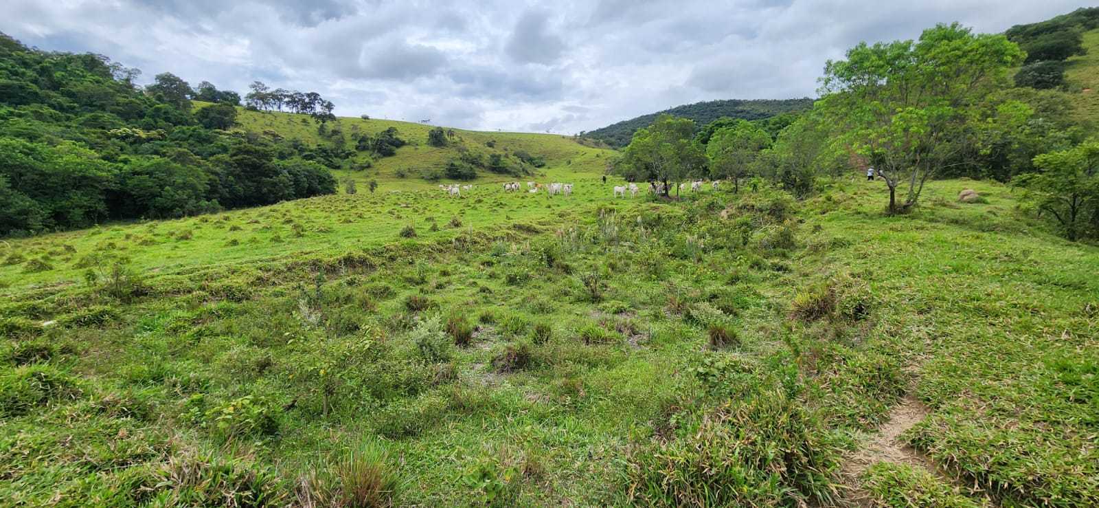 Chácara à venda com 3 quartos, 820000m² - Foto 22