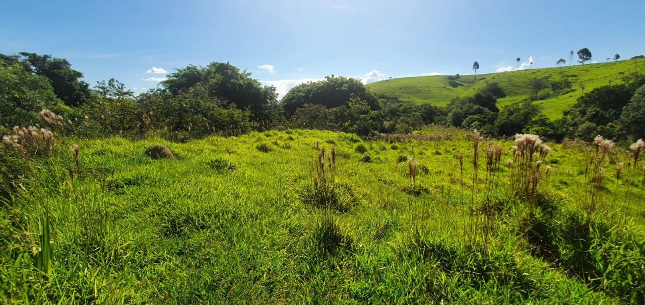 Chácara à venda com 3 quartos, 820000m² - Foto 16