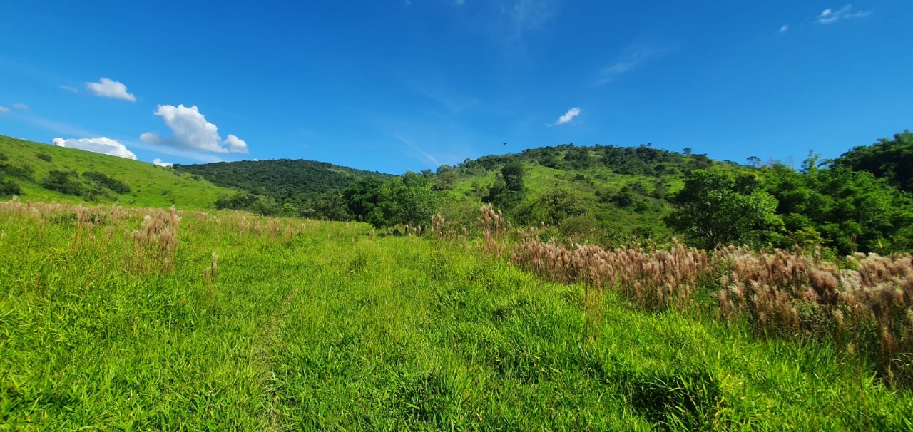 Chácara à venda com 3 quartos, 820000m² - Foto 7