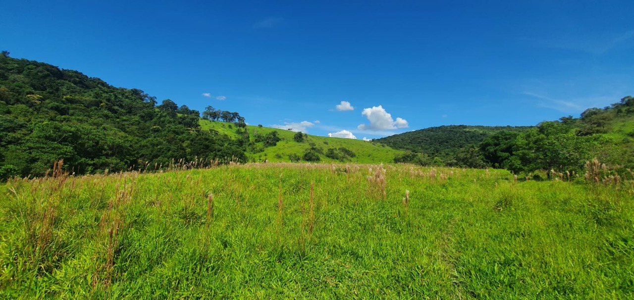 Chácara à venda com 3 quartos, 820000m² - Foto 17