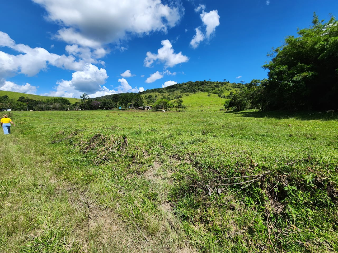 Chácara à venda com 3 quartos, 820000m² - Foto 2