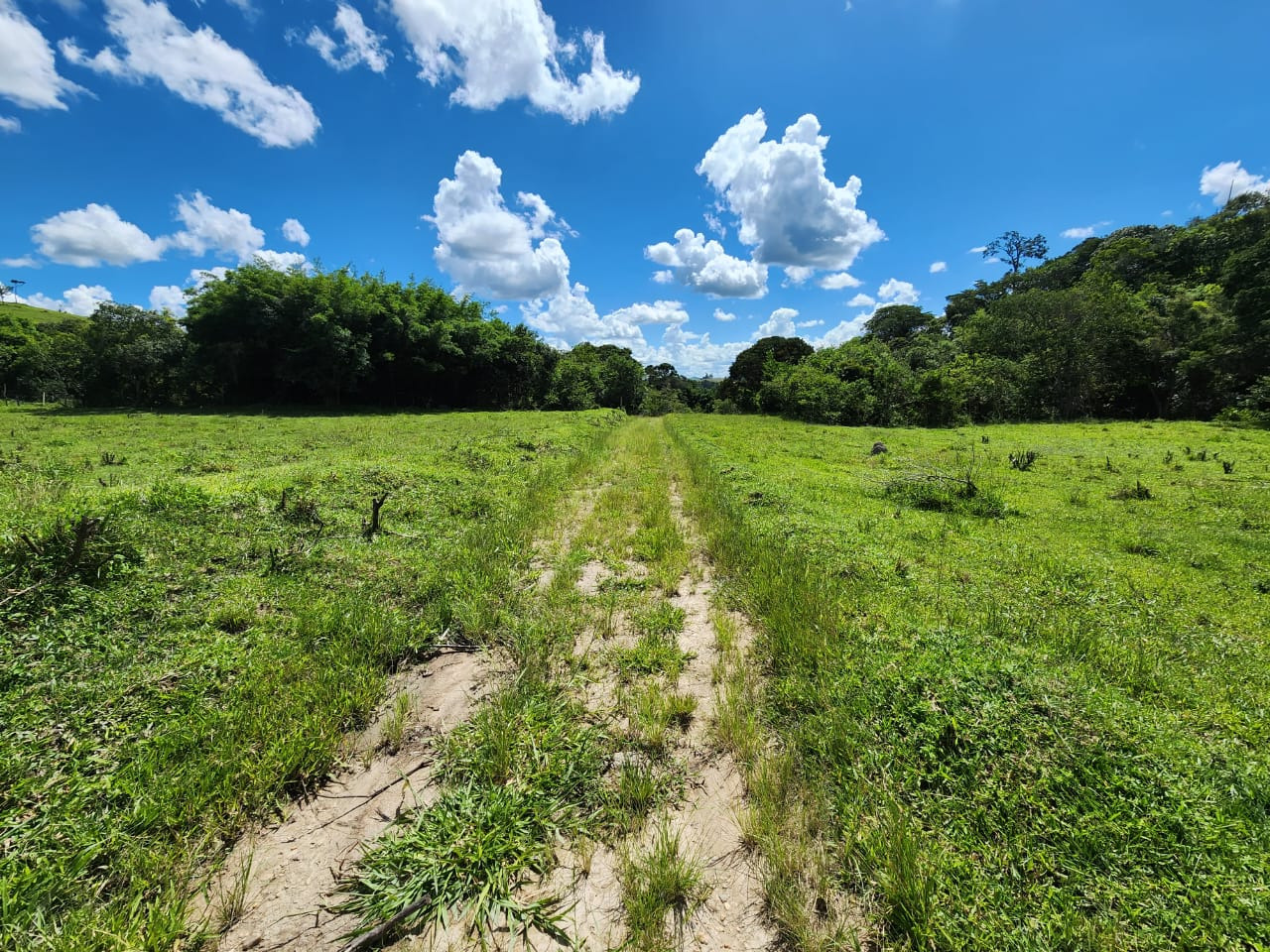 Chácara à venda com 3 quartos, 820000m² - Foto 8