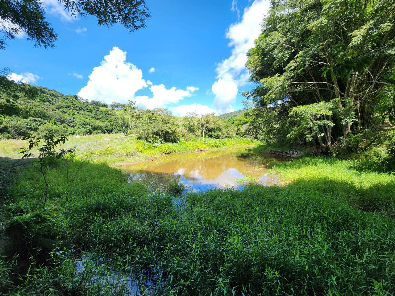 Chácara à venda com 3 quartos, 820000m² - Foto 10