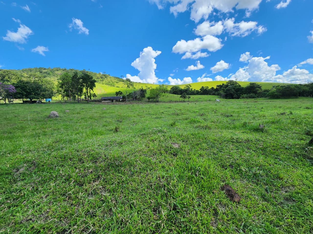 Chácara, 3 quartos, 82 hectares - Foto 1