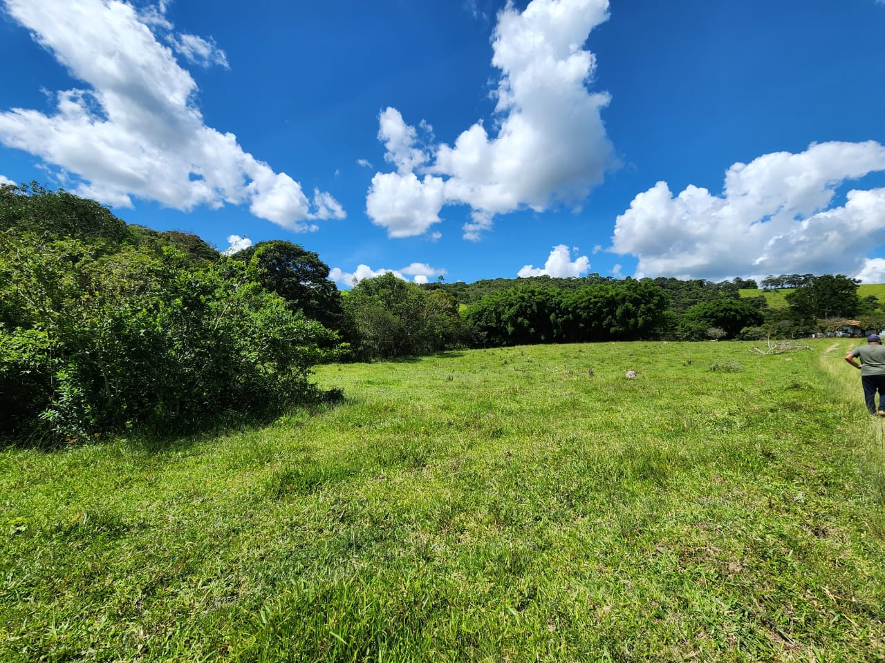 Chácara à venda com 3 quartos, 820000m² - Foto 9