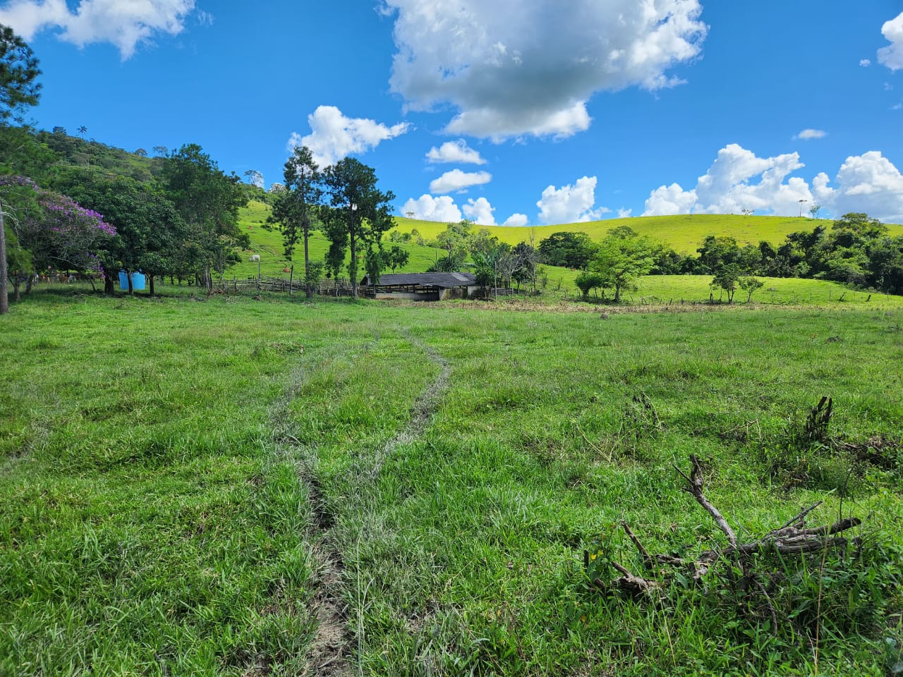 Chácara à venda com 3 quartos, 820000m² - Foto 5