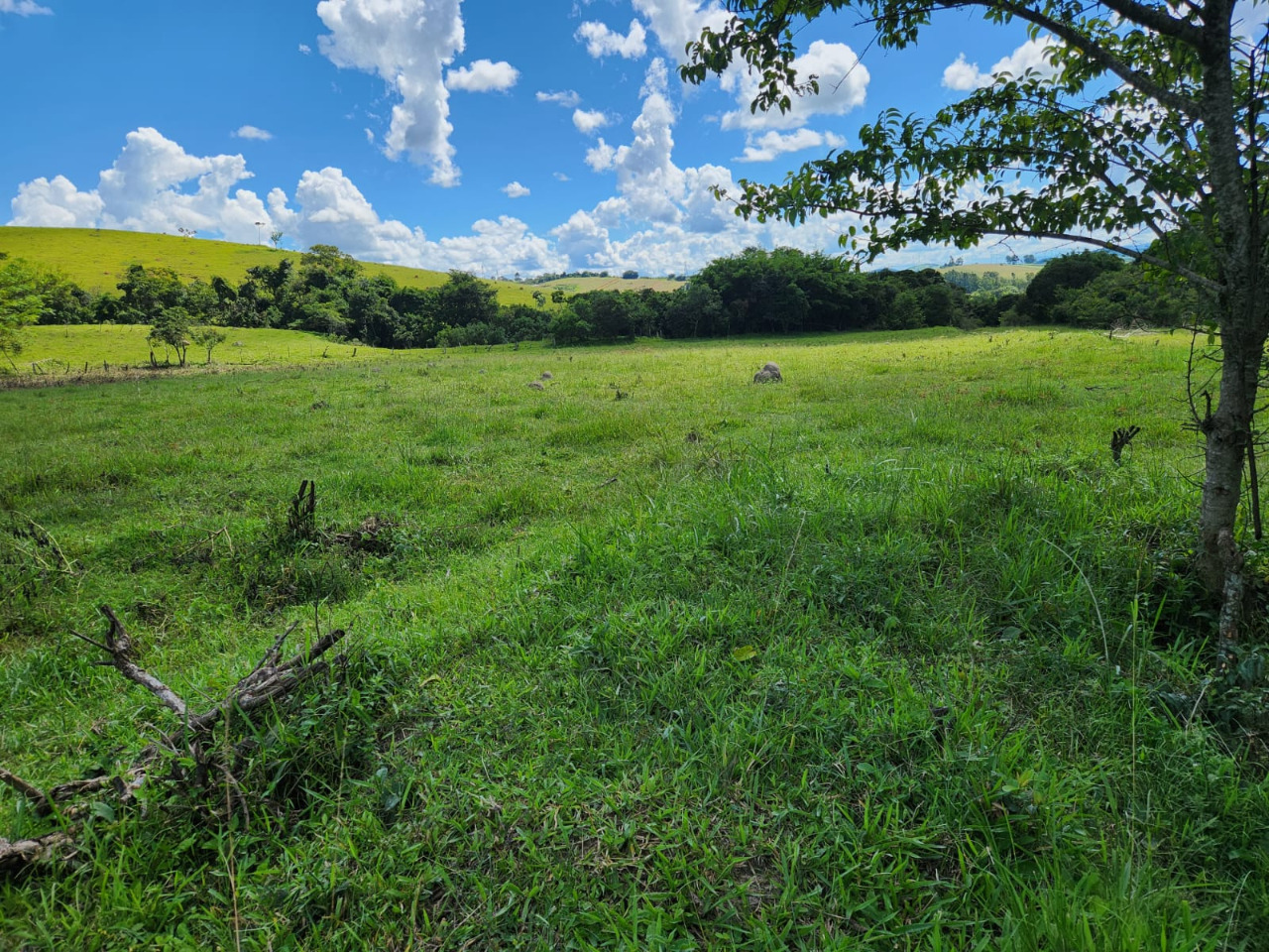 Chácara à venda com 3 quartos, 820000m² - Foto 14