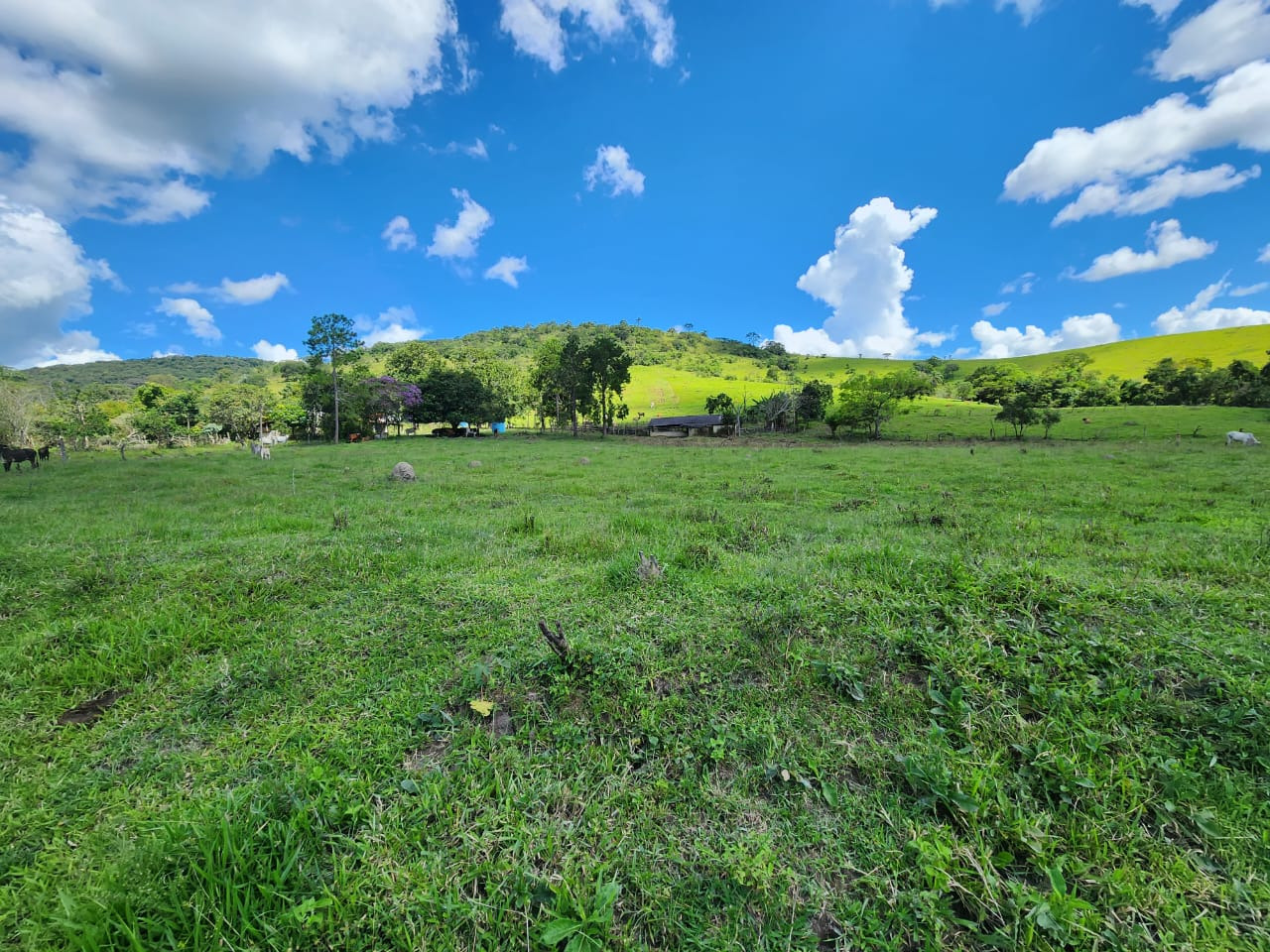 Chácara à venda com 3 quartos, 820000m² - Foto 15