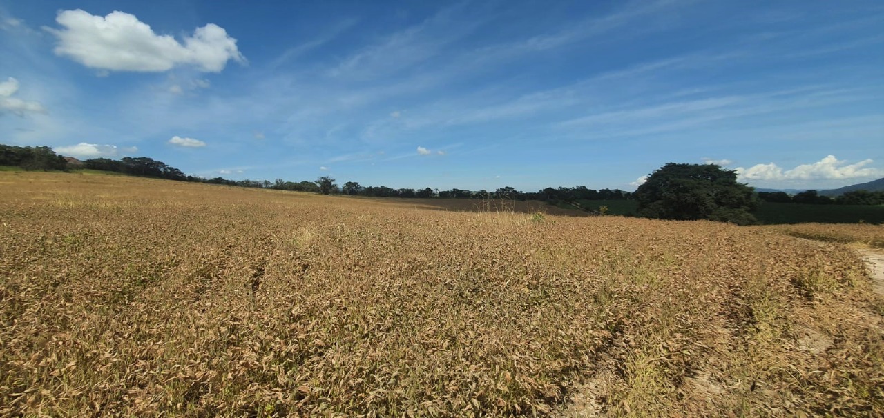 Chácara à venda com 1 quarto, 560000m² - Foto 7